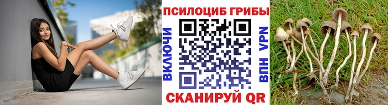 Псилоцибиновые грибы ЛСД  Пионерский 